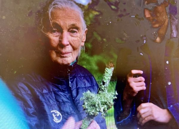 Jane Goodall stops to enjoy The Farmhouse on her visit to Plymouth